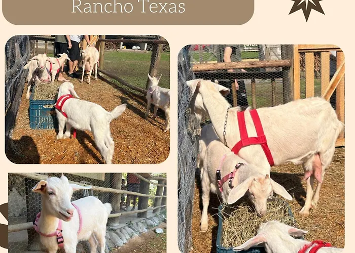 Pousada Rancho TexasPousada Ubatuba